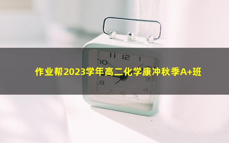 作业帮2023学年高二化学康冲秋季A+班