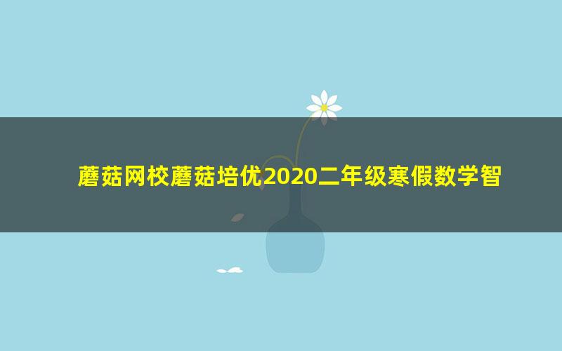 蘑菇网校蘑菇培优2020二年级寒假数学智优班(完结)(3.53G高清视频)