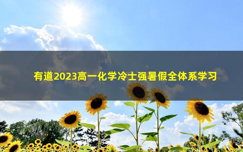 有道2023高一化学冷士强暑假全体系学习卡(规划服务)