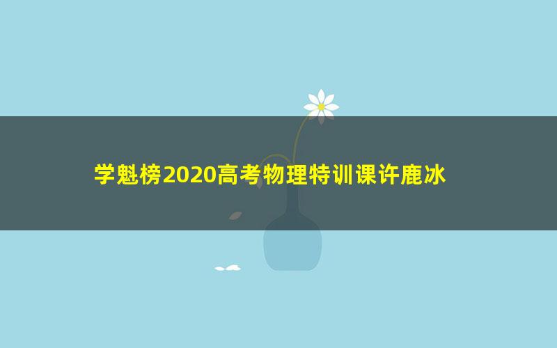 学魁榜2020高考物理特训课许鹿冰