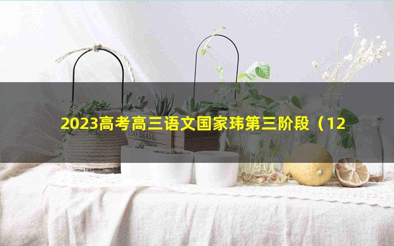 2023高考高三语文国家玮第三阶段(12.4G高清视频)