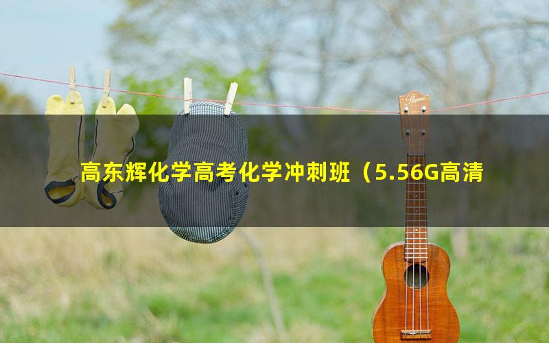 高东辉化学高考化学冲刺班(5.56G高清视频)