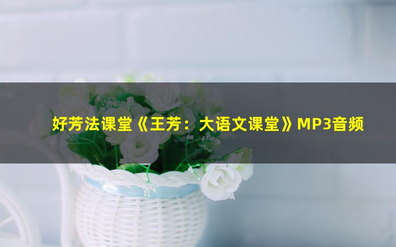 好芳法课堂《王芳:大语文课堂》MP3音频 下载