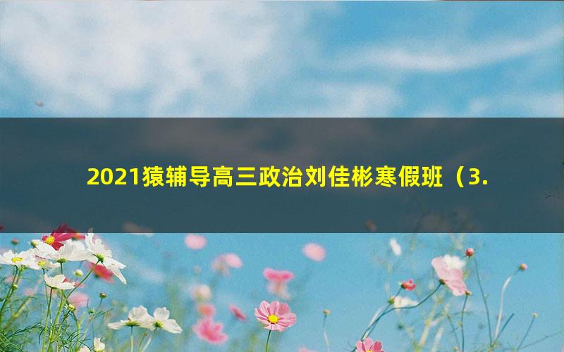 2021猿辅导高三政治刘佳彬寒假班(3.97G高清视频)