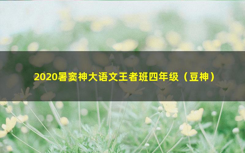2020暑窦神大语文王者班四年级(豆神)(超清视频)