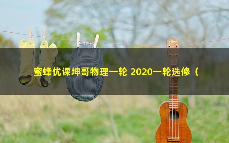 蜜蜂优课坤哥物理一轮 2020一轮选修(3-3 3-5系统课程)热学+近代物理(9G高清视频)