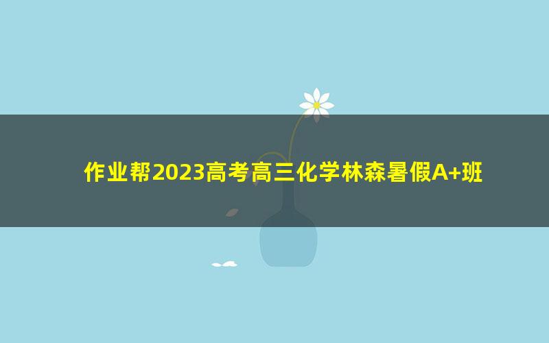 作业帮2023高考高三化学林森暑假A+班