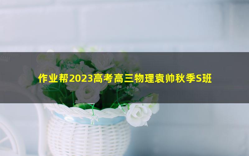 作业帮2023高考高三物理袁帅秋季S班