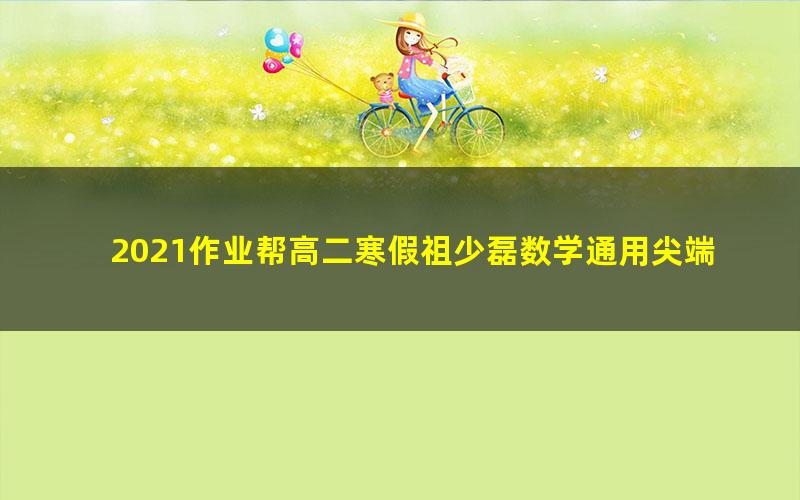 2021作业帮高二寒假祖少磊数学通用尖端班(14.2G高清视频)