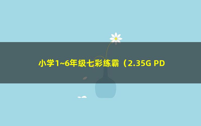 小学1~6年级七彩练霸(2.35G PDF)