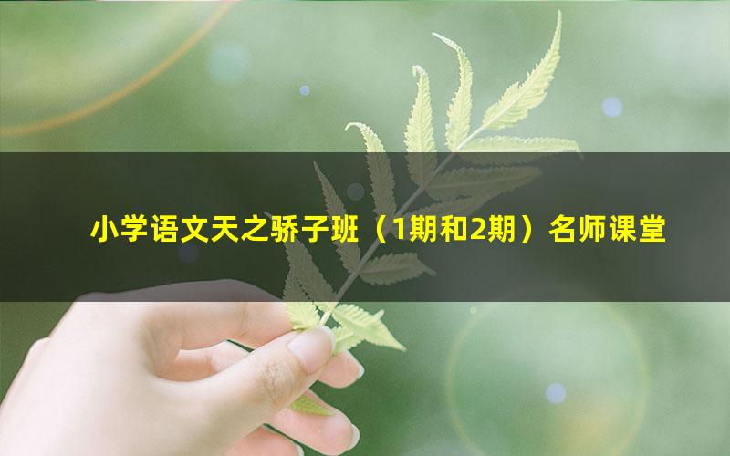 小学语文天之骄子班(1期和2期)名师课堂(高清打包)