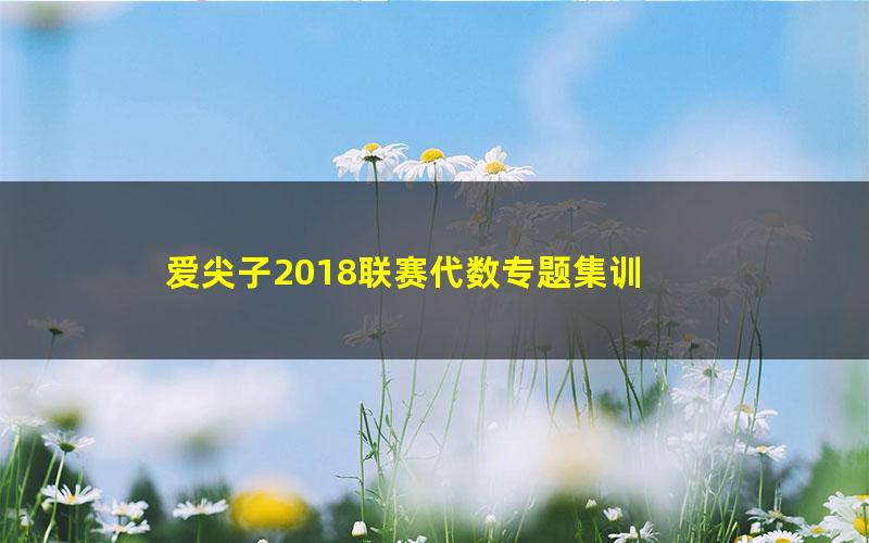 爱尖子2018联赛代数专题集训