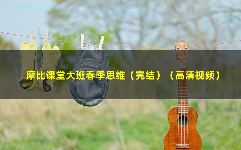 摩比课堂大班春季思维(完结)(高清视频)