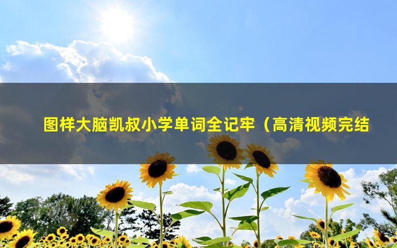 图样大脑凯叔小学单词全记牢(高清视频完结)