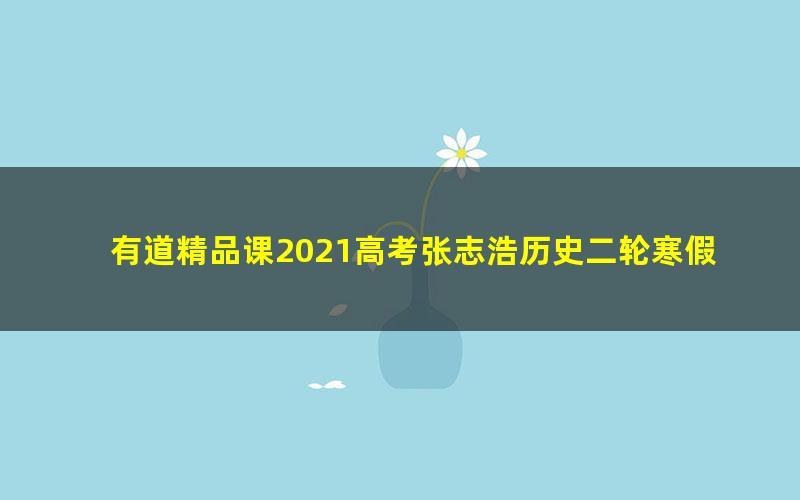 有道精品课2021高考张志浩历史二轮寒假班(21.0G高清视频)