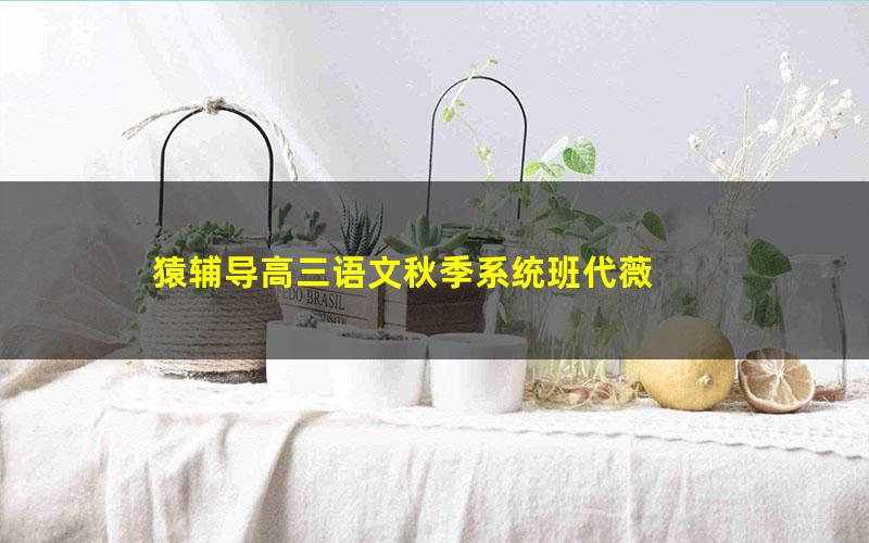猿辅导高三语文秋季系统班代薇