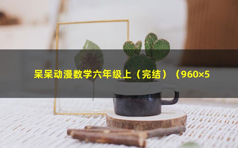 呆呆动漫数学六年级上(完结)(960×540视频)