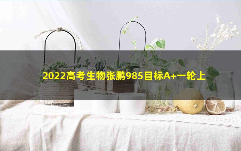 2022高考生物张鹏985目标A+一轮上(完结)(4.42G高清视频)