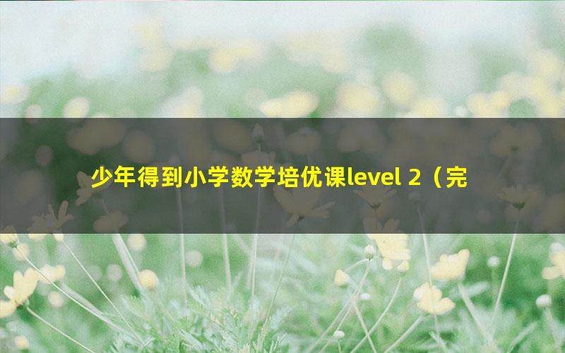 少年得到小学数学培优课level 2（完结）