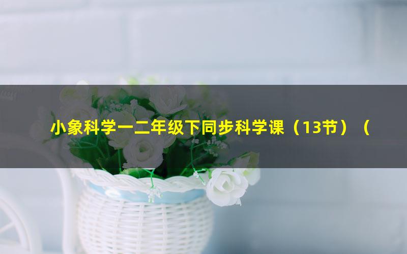 小象科学一二年级下同步科学课(13节)(高清视频)