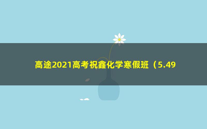高途2021高考祝鑫化学寒假班(5.49G高清视频)