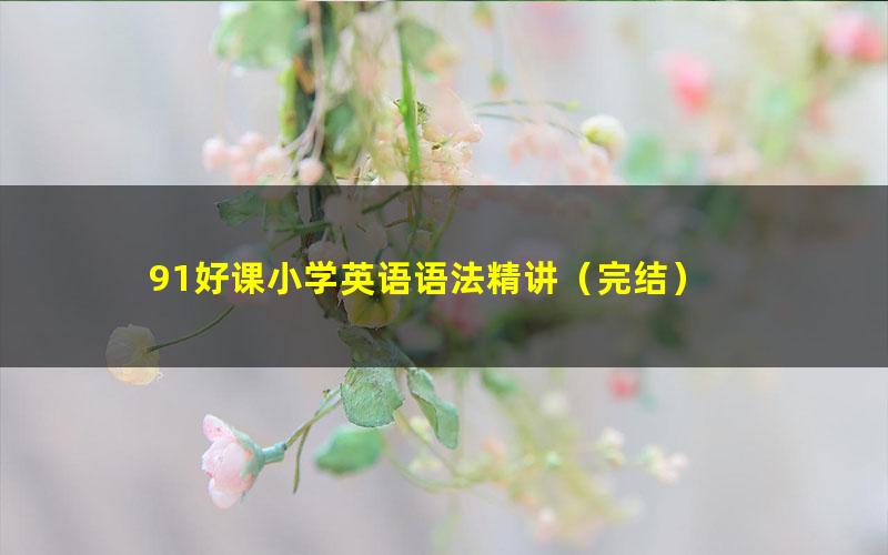 91好课小学英语语法精讲(完结)