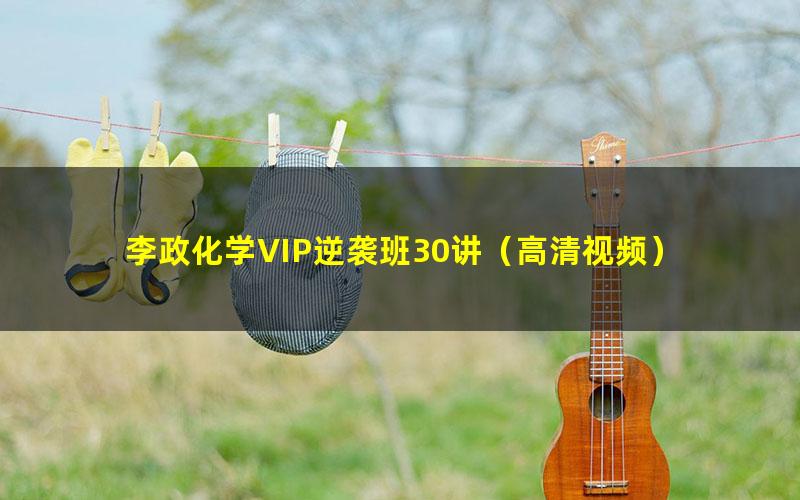 李政化学VIP逆袭班30讲(高清视频)