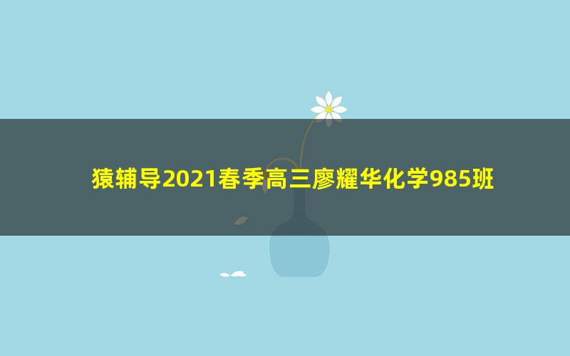 猿辅导2021春季高三廖耀华化学985班(高清视频)