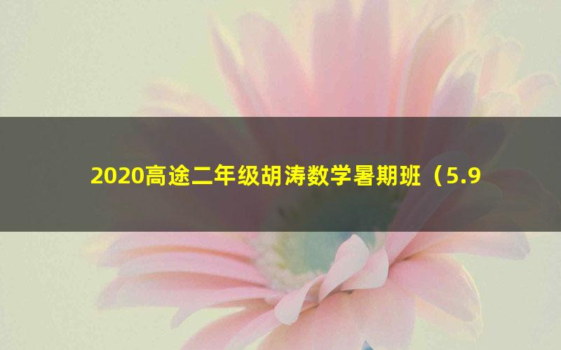 2020高途二年级胡涛数学暑期班(5.94G高清视频)