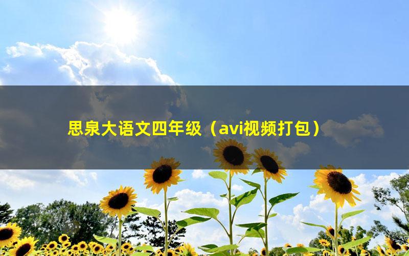 思泉大语文四年级(avi视频打包)