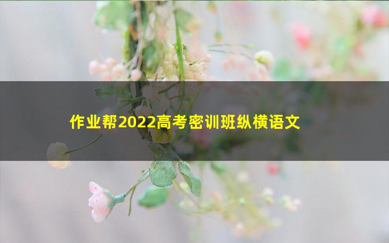 作业帮2022高考密训班纵横语文