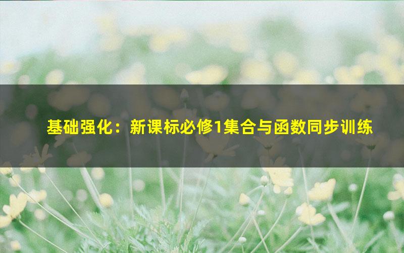基础强化:新课标必修1集合与函数同步训练(李永乐)