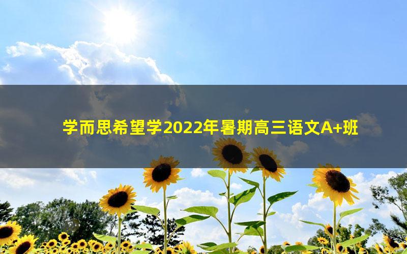 学而思希望学2022年暑期高三语文A+班郑会英(高考)(完结)