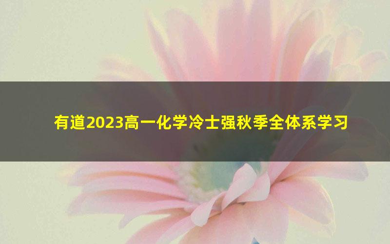 有道2023高一化学冷士强秋季全体系学习卡(规划服务)