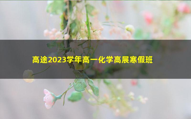 高途2023学年高一化学高展寒假班