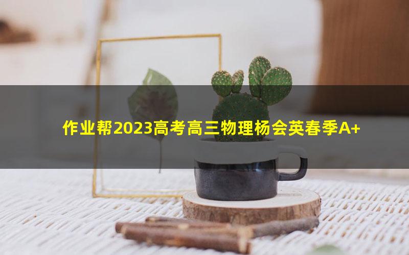 作业帮2023高考高三物理杨会英春季A+班