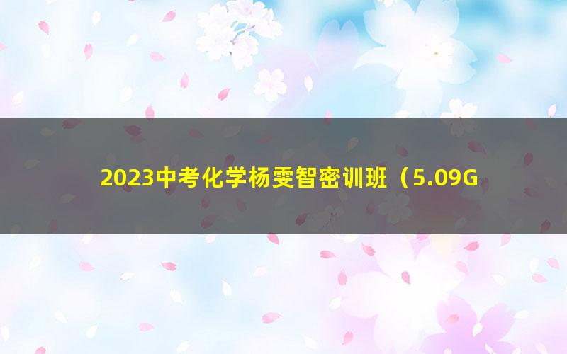2023中考化学杨雯智密训班(5.09G高清视频)