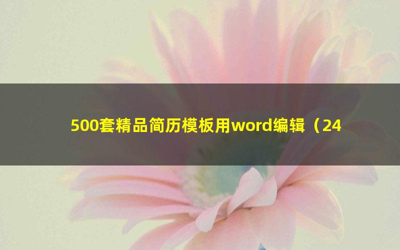 500套精品简历模板用word编辑(243M)