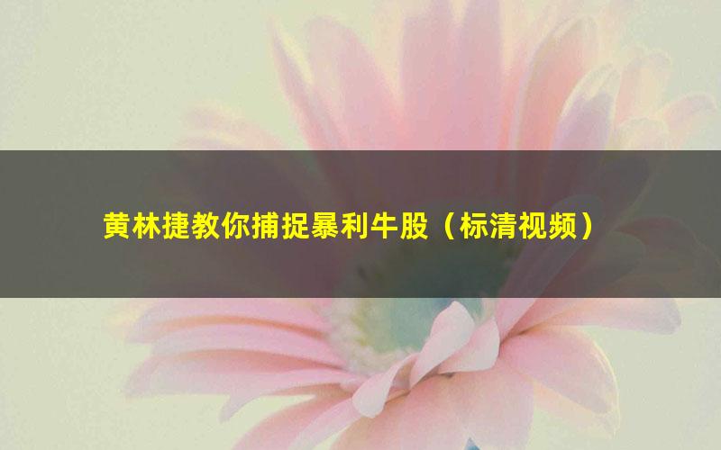 黄林捷教你捕捉暴利牛股(标清视频)