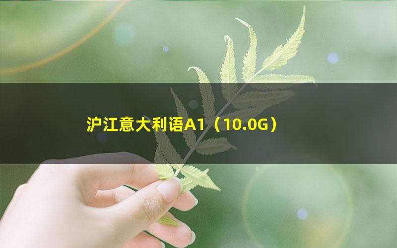 沪江意大利语A1(10.0G)