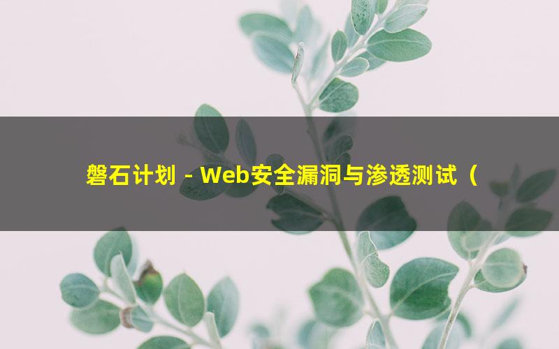 磐石计划 - Web安全漏洞与渗透测试(超清视频)