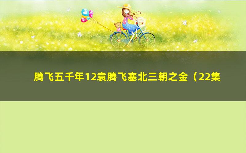 腾飞五千年12袁腾飞塞北三朝之金(22集全)