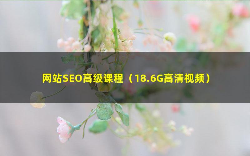 网站SEO高级课程(18.6G高清视频)