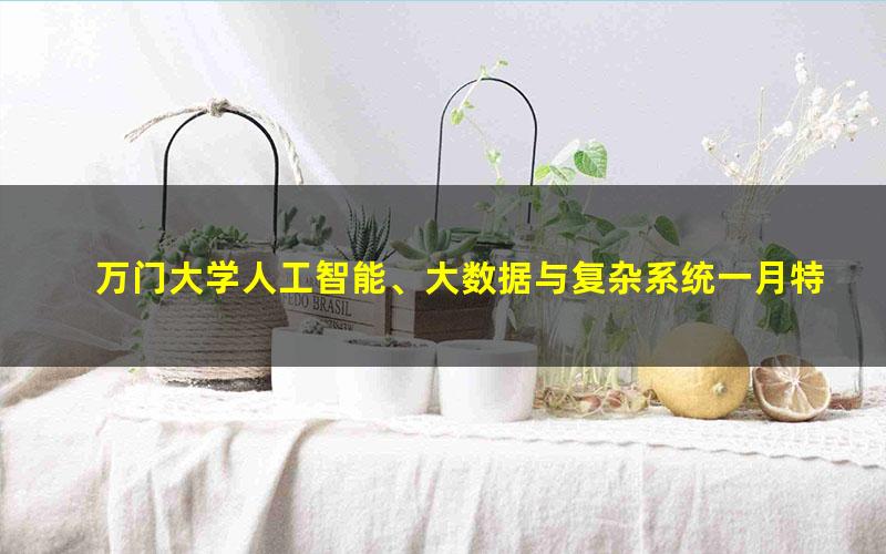 万门大学人工智能、大数据与复杂系统一月特训班视频课程78讲(超清视频)