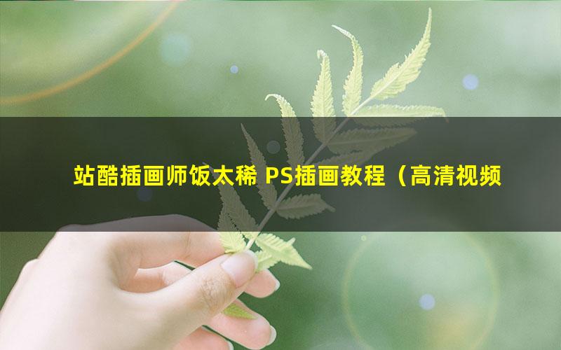 站酷插画师饭太稀 PS插画教程(高清视频)