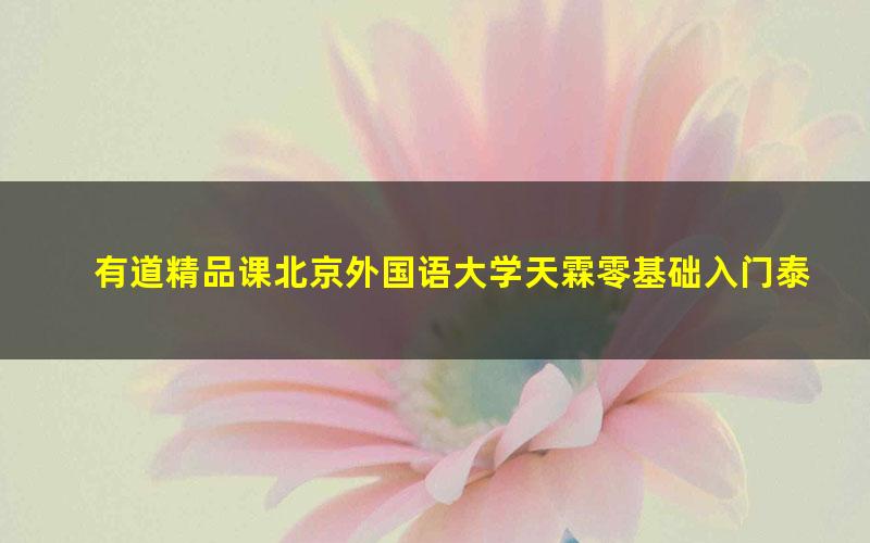 有道精品课北京外国语大学天霖零基础入门泰语课程(3.46G超清视频)
