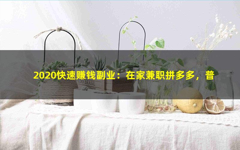2020快速赚钱副业:在家兼职拼多多,普通人稳定月入2万(高清视频)