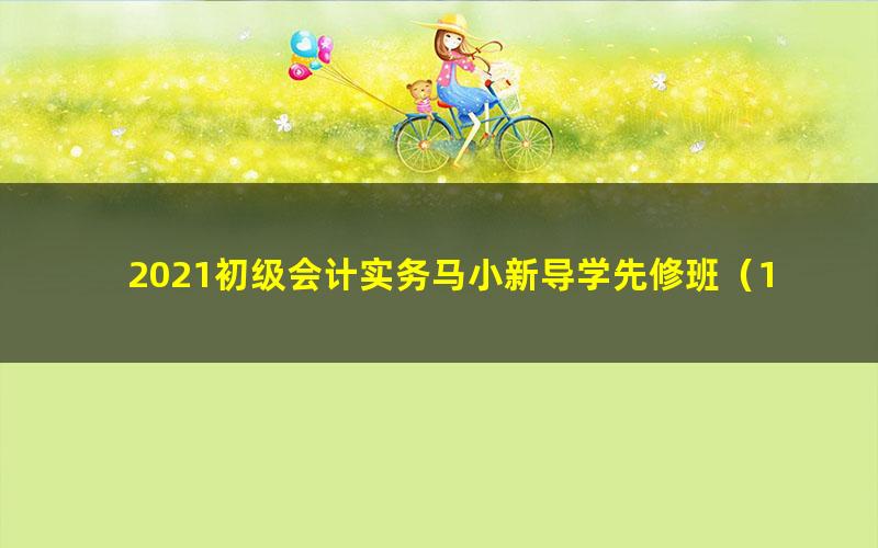 2021初级会计实务马小新导学先修班(12讲全)(3.13G高清视频)