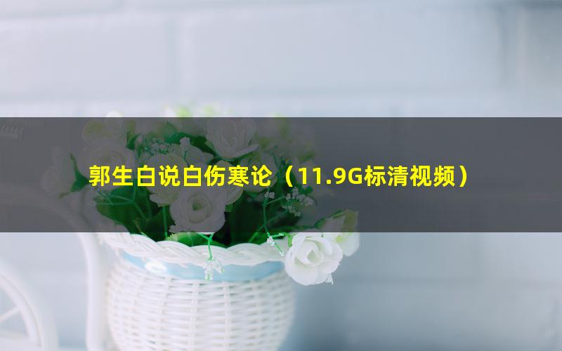 郭生白说白伤寒论(11.9G标清视频)