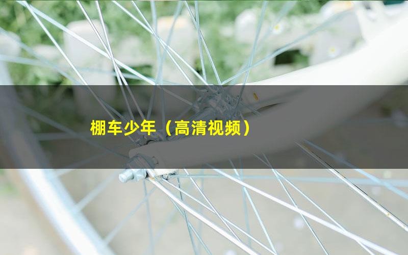 棚车少年(高清视频)